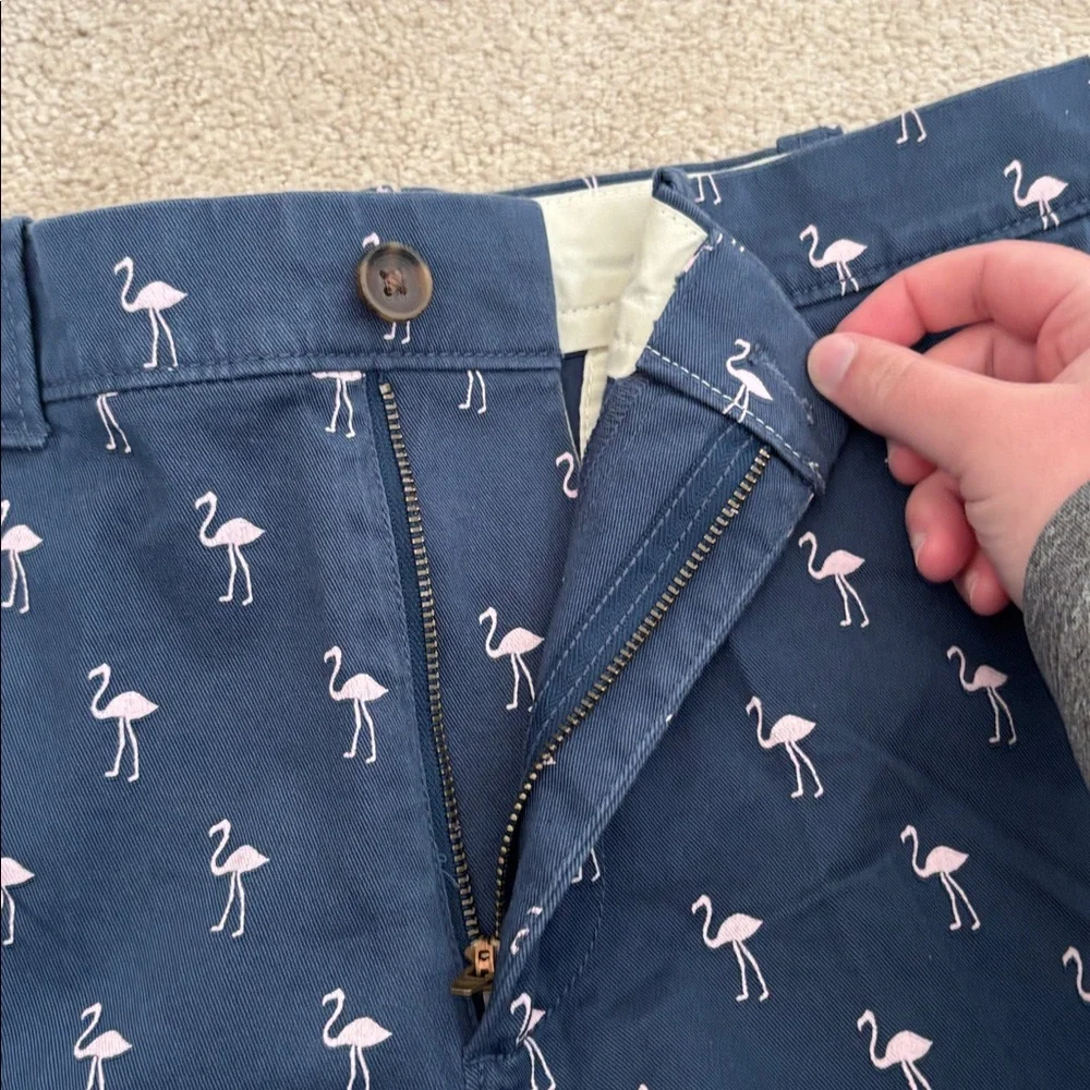 J. Crew Shorts